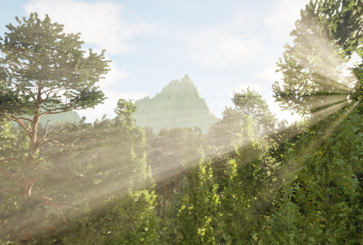 Forest Enviroment - student project