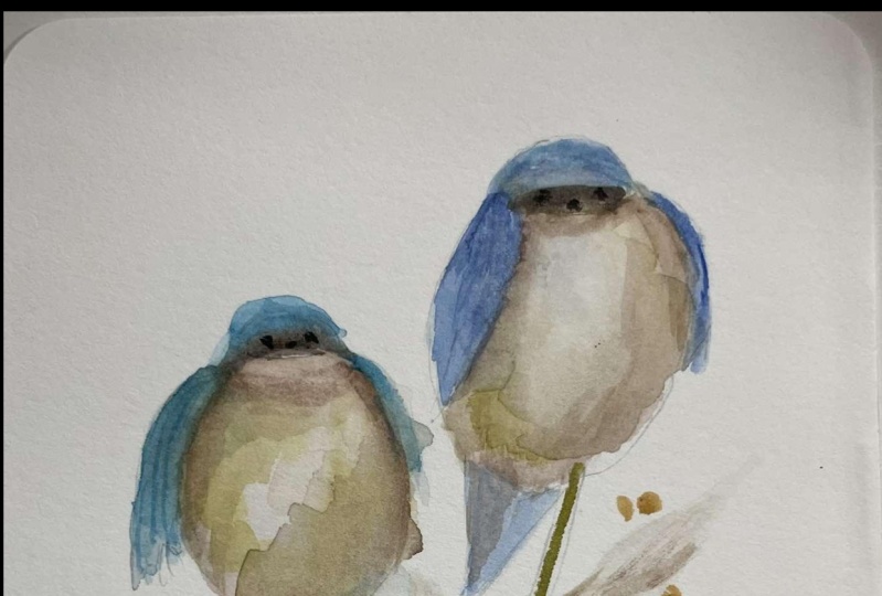 line and wash vintage birds