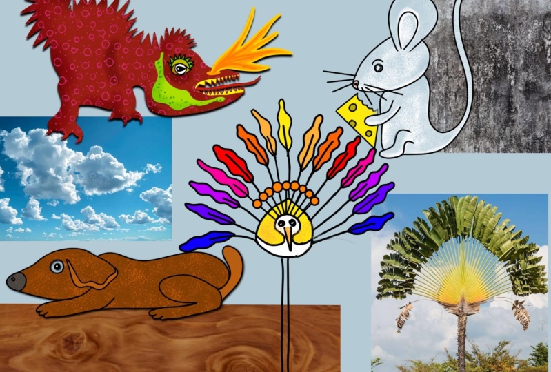 Animals out of chaos