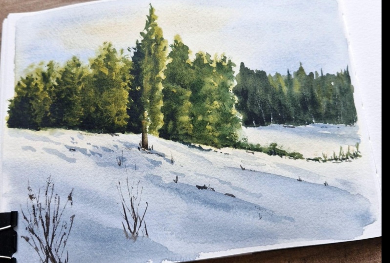 winter landscapes