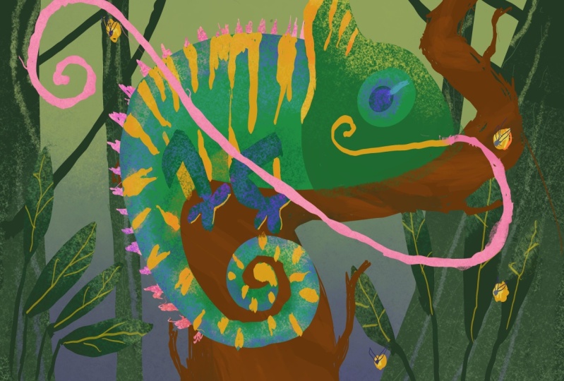 Chameleon Project
