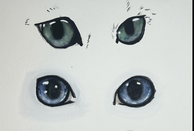 Cat Eyes