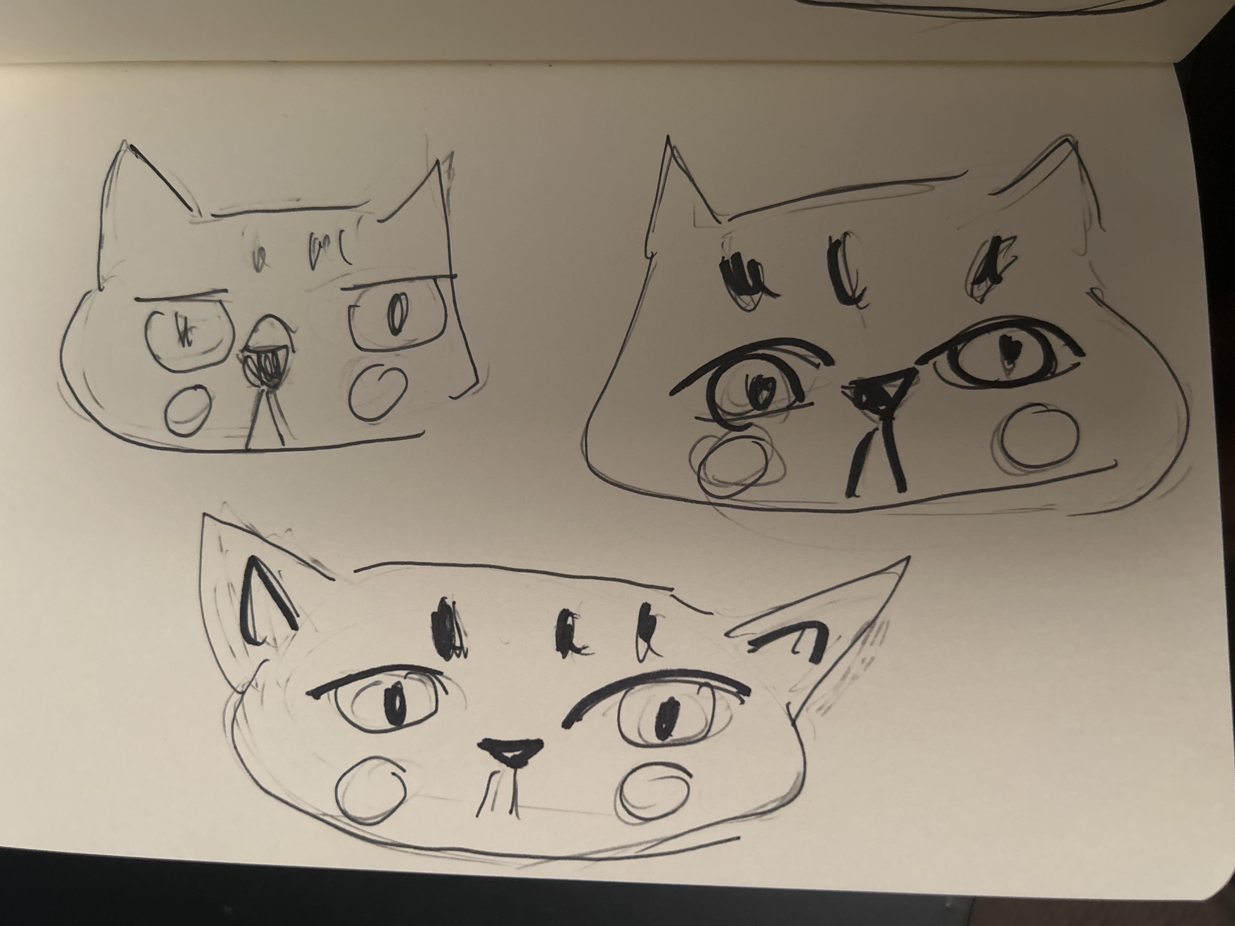 more-projects-from-class-img