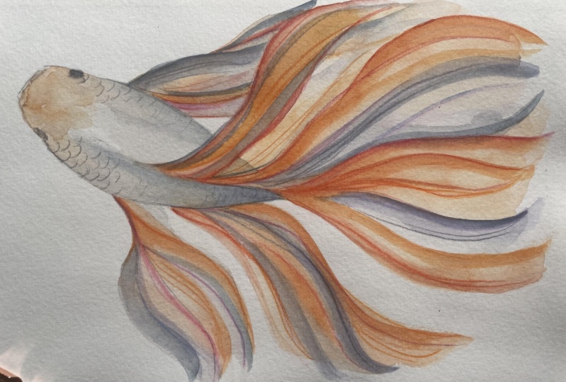 Fish in watercolour and watercolour pencils