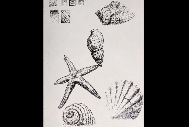 Stippling seashells