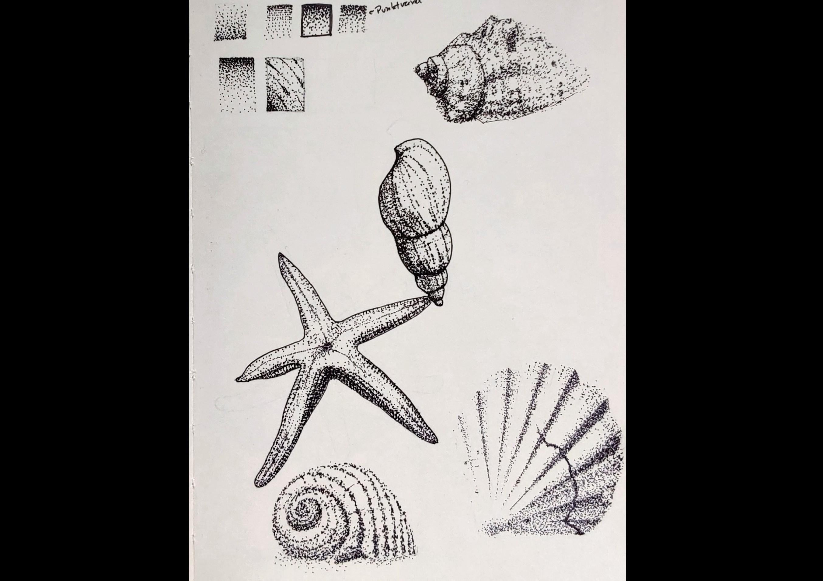 more-projects-from-class-img