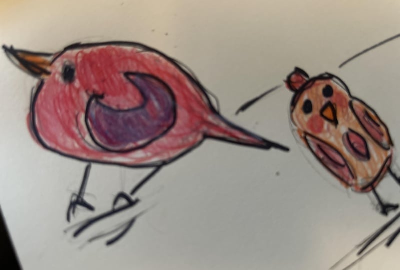 birds