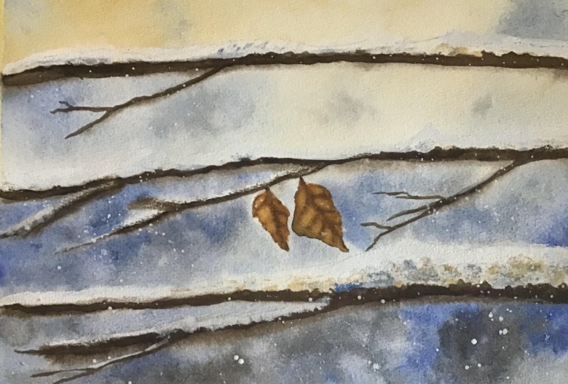 Frozen snow