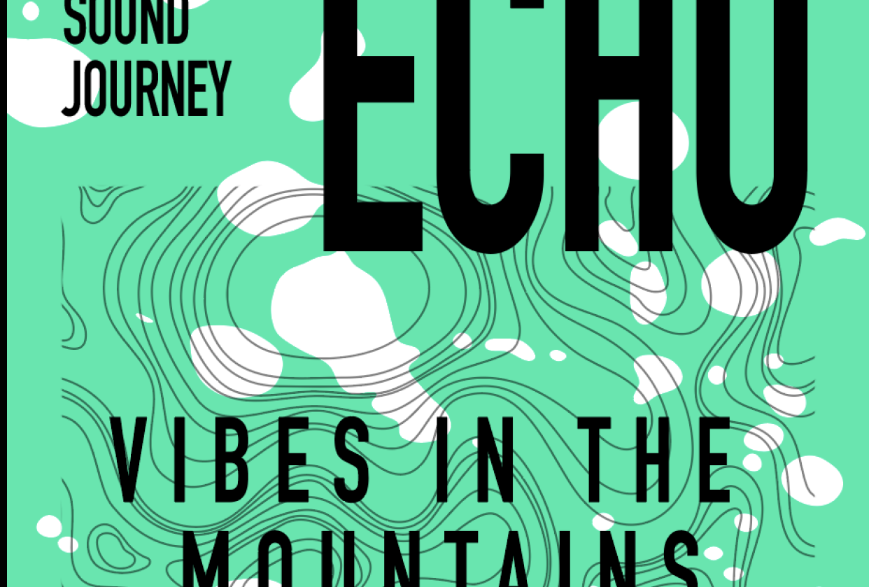 Music Festival Poster - student project