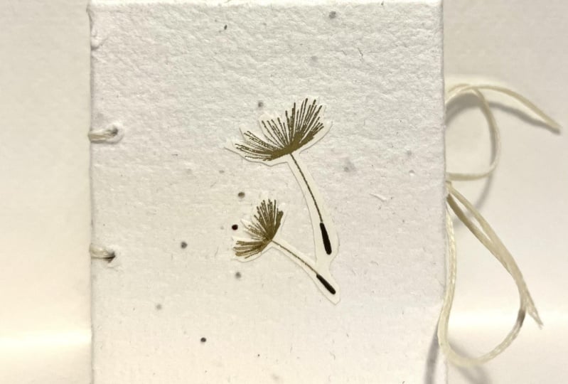 tiny artists books