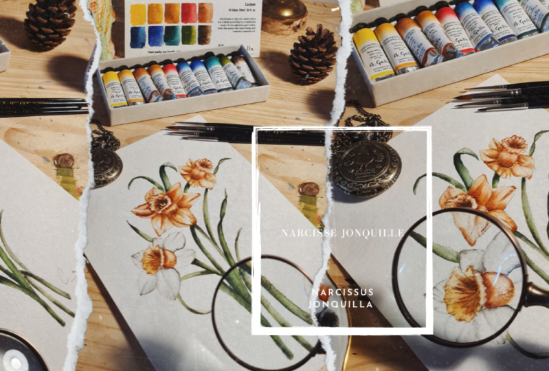Fleur Narcisse Jonquille à l'aquarelle pour tous les niveaux