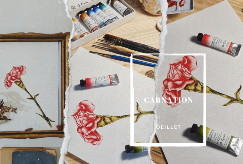 Fleur Œillet réaliste à l'aquarelle pour tous les niveaux