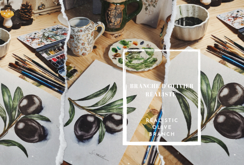 Branche d'olives à l'aquarelle, techniques pour tous les niveaux