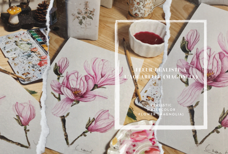 Fleurs Magnolias réalistes, l'ombre et la lumière à l'aquarelle