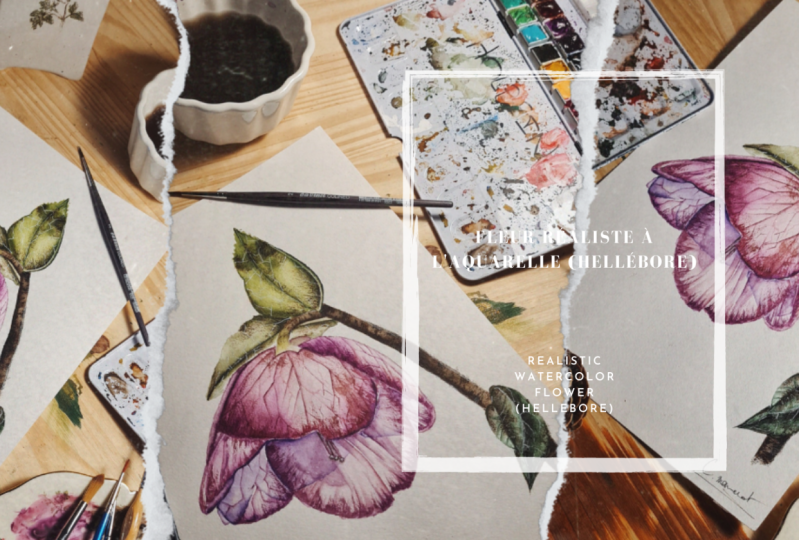 Techniques fleurs réalistes à l'aquarelle, de débutants à experts : Hellebore