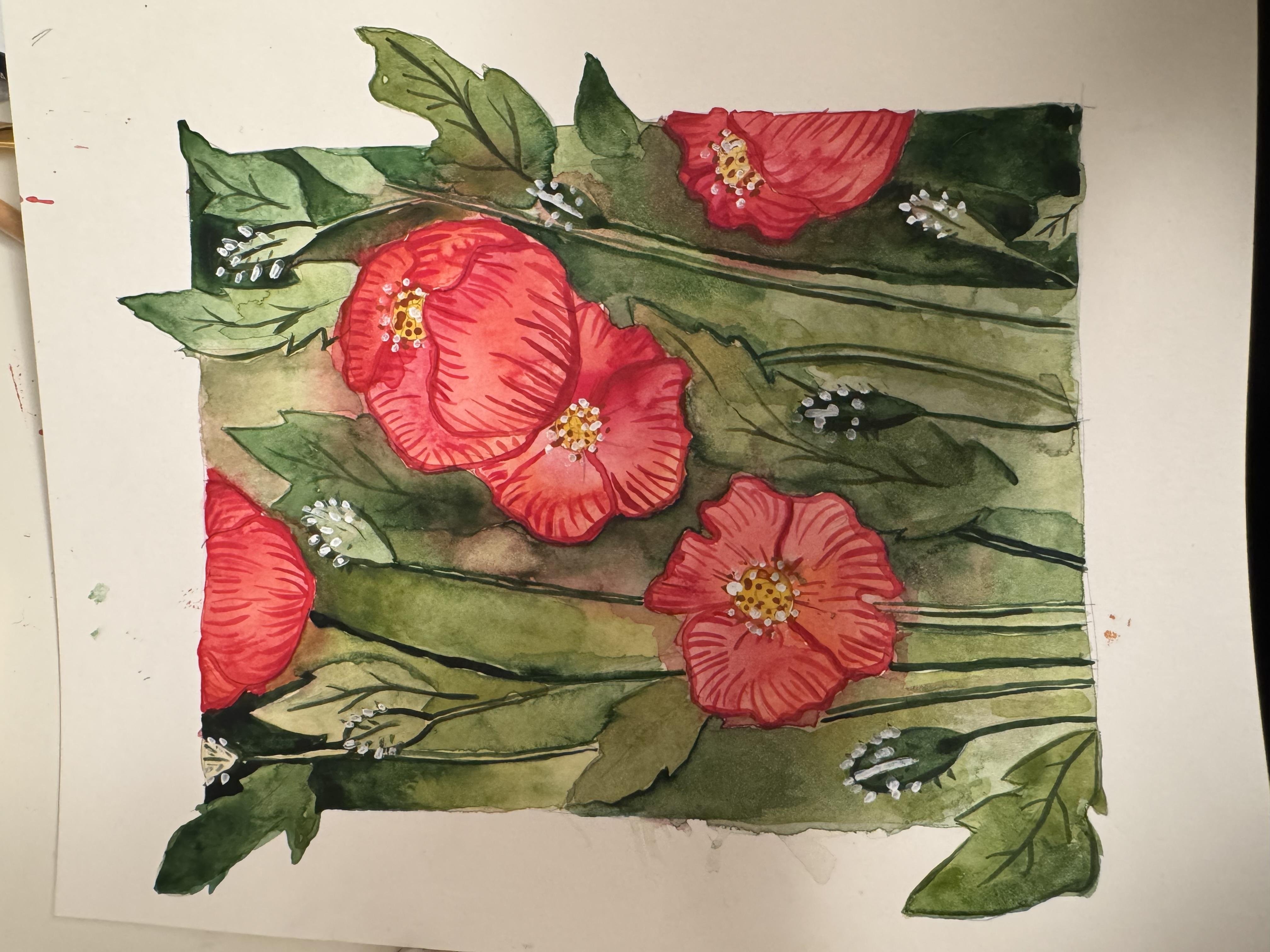 Poppies - student project