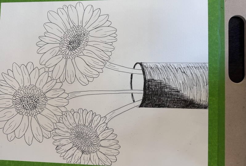 Gerbera Daisies