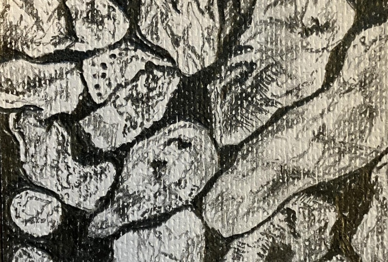 Art Essentials: TEXTURE/Improve Pencil Techniques to Draw Realistic Textures