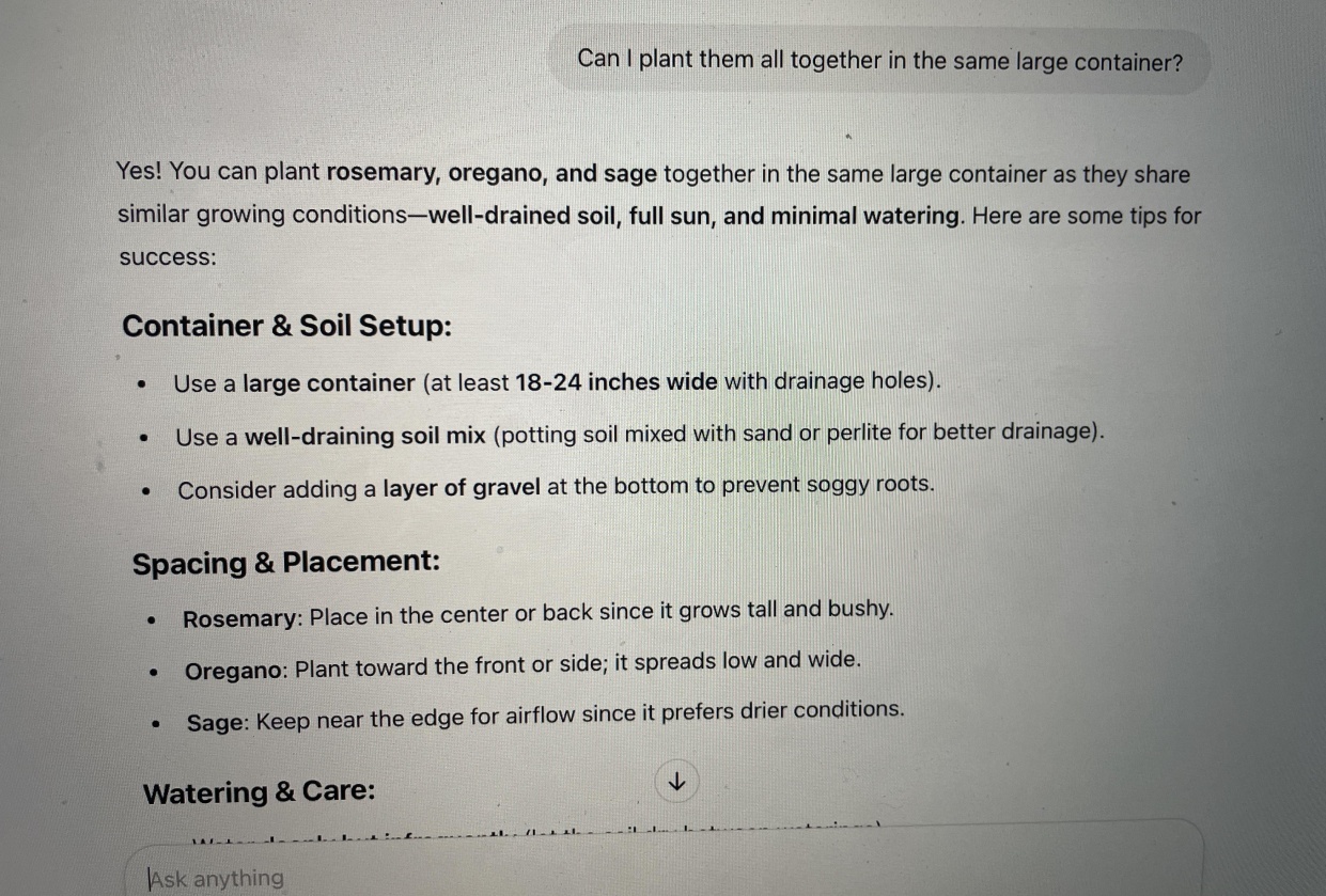 Growing herbs in Fl - student project