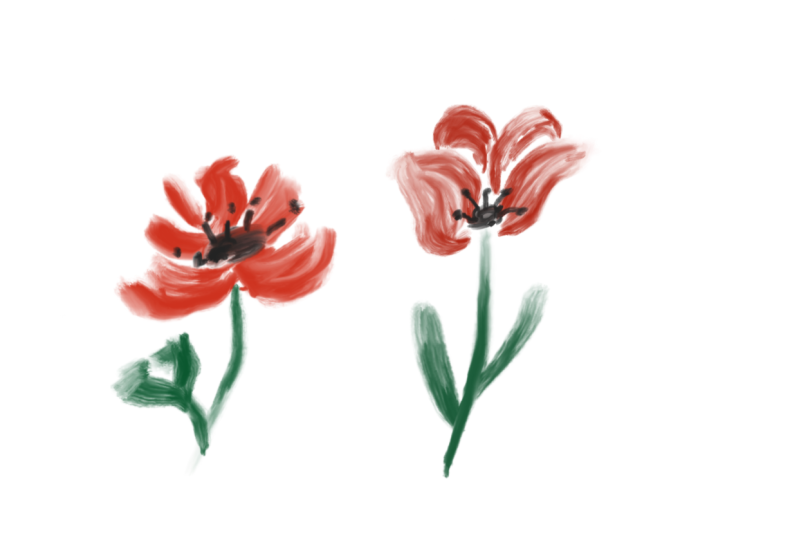 Poppy