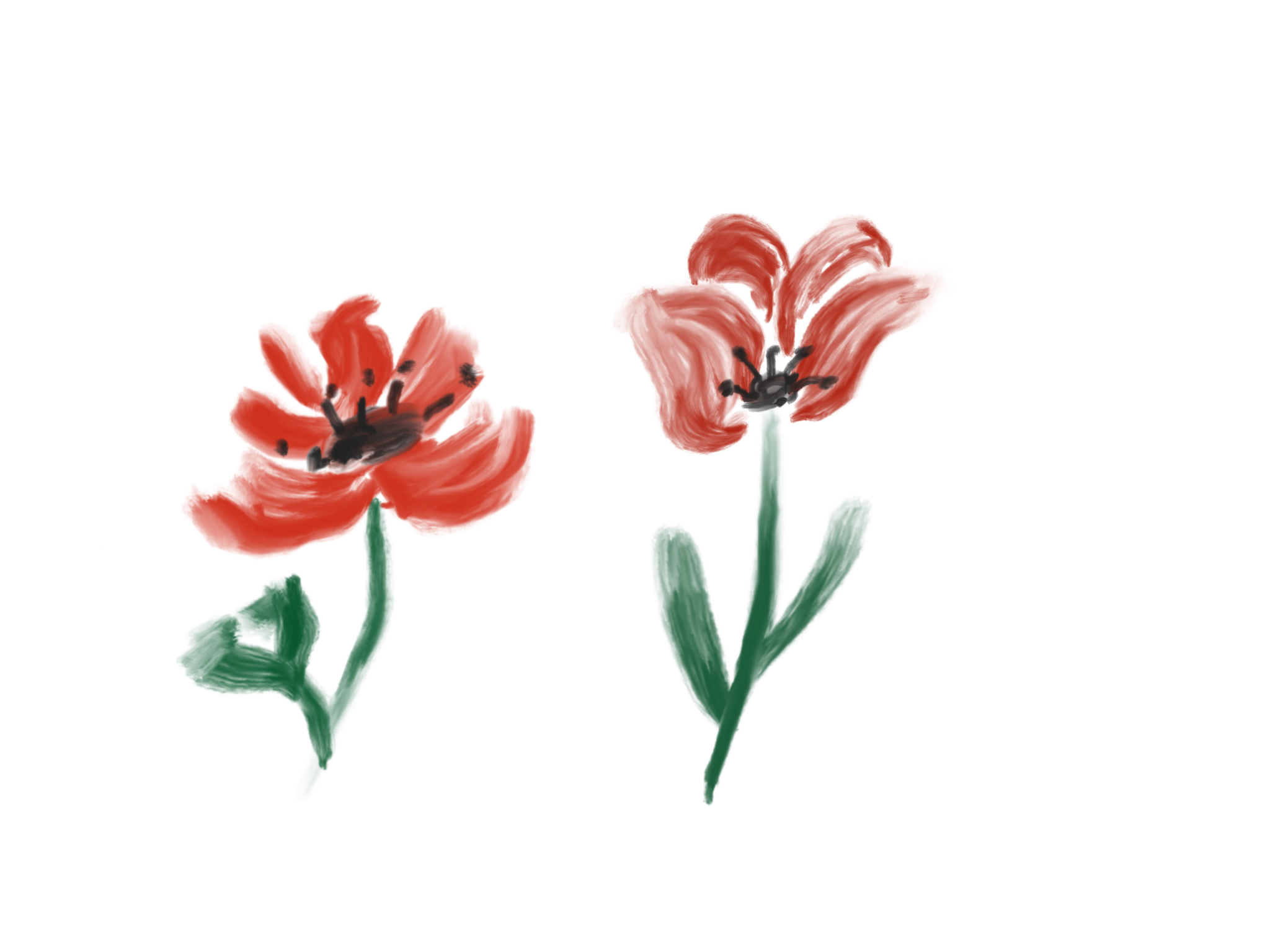more-projects-from-class-img