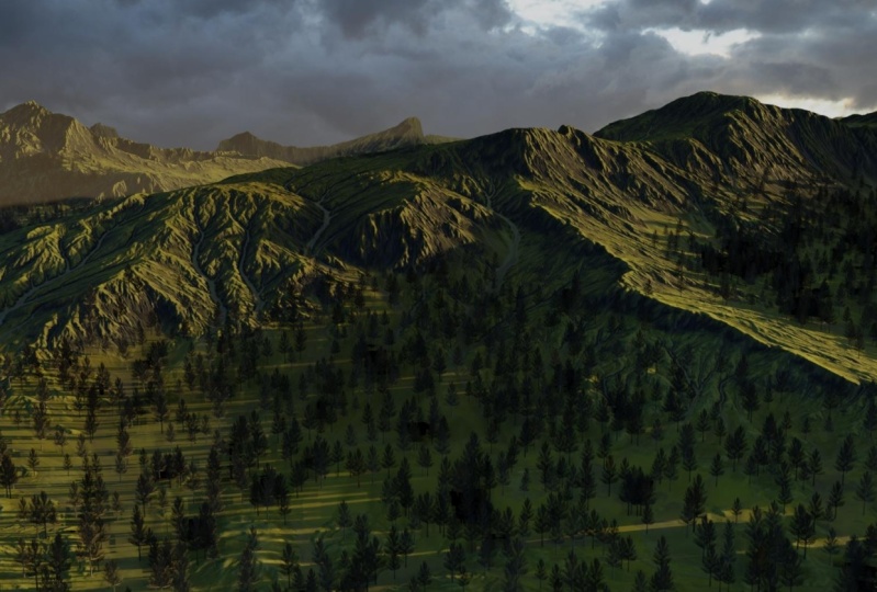 Terrain