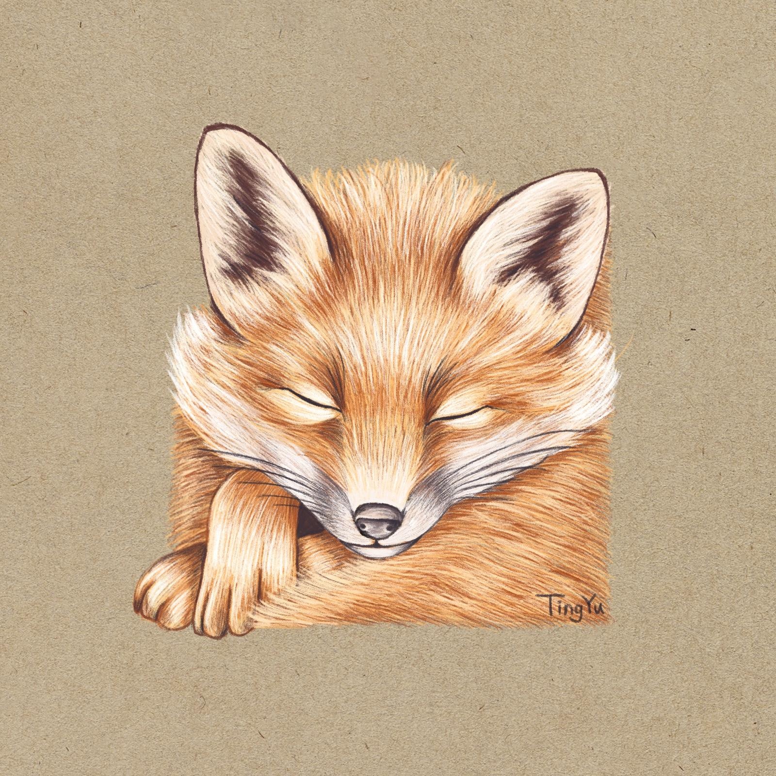 Fox - student project