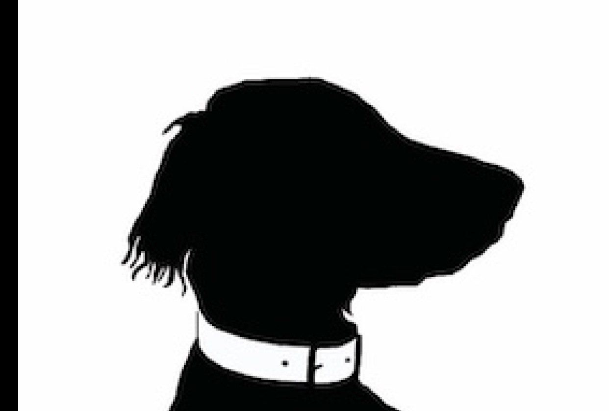 Silhouettes - student project