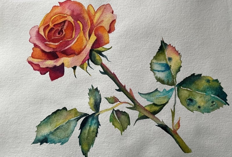 Gail's Rose Painting