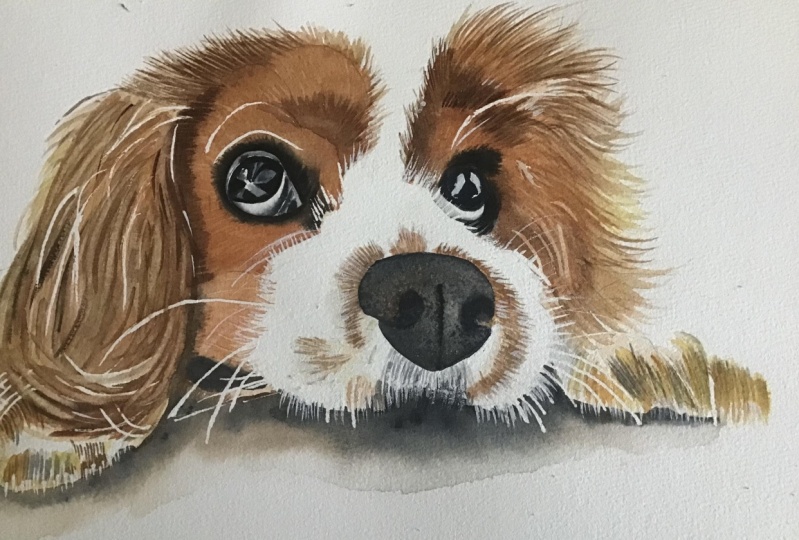 Dog with watercolour