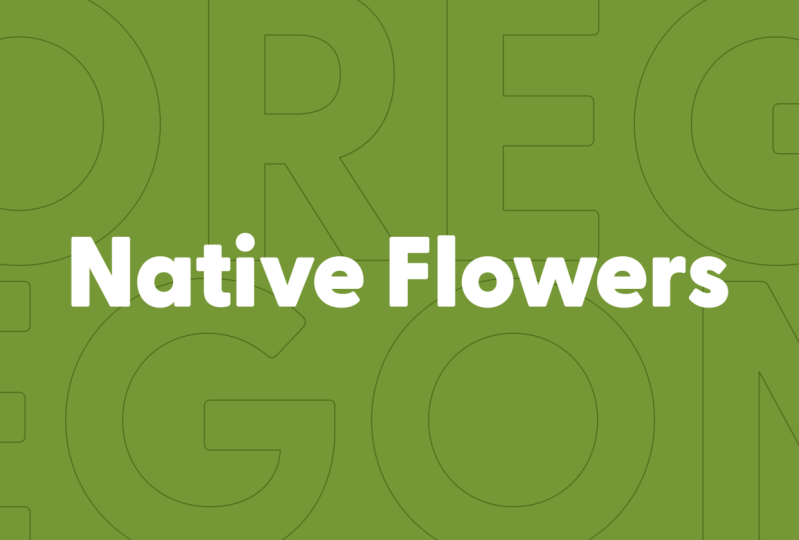 Native Flowers: Final Project