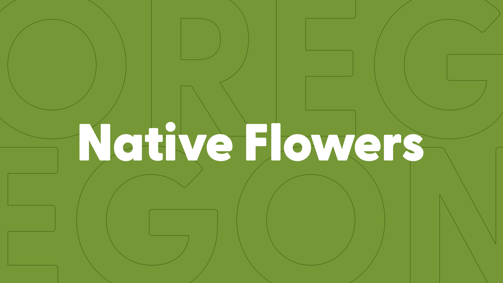 Native Flowers: Final Project - student project