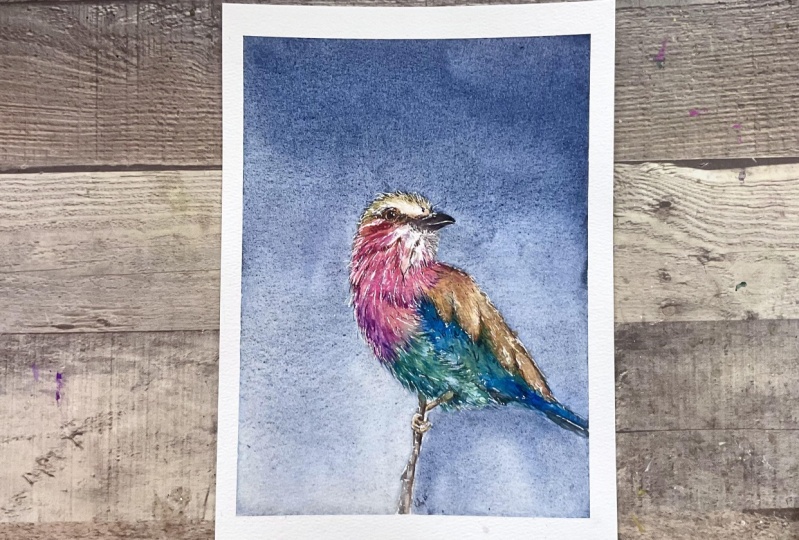 Layered wash watercolour bird.