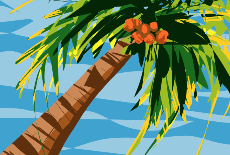 Infinite Painter Coconut Tree