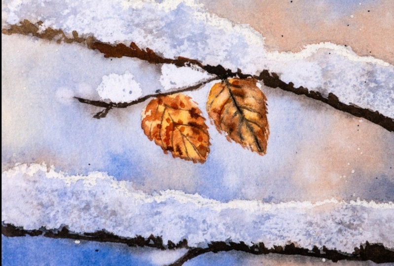Snowy twigs Without White Paint
