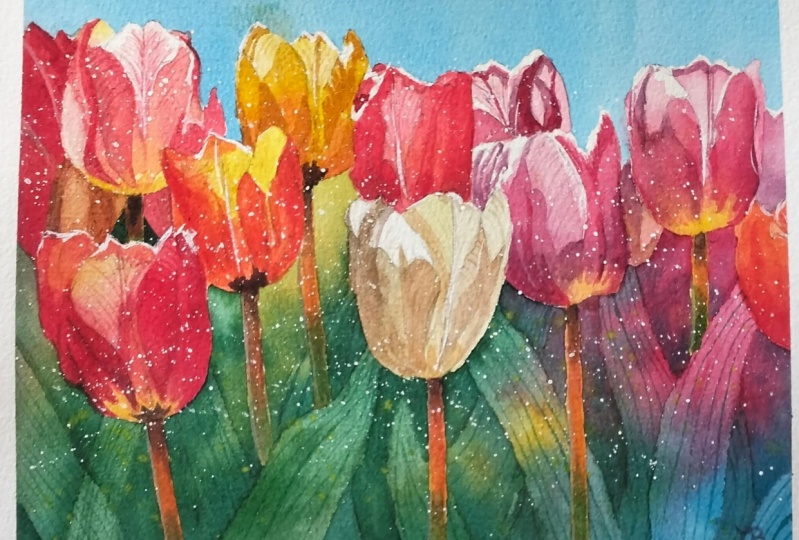 Tulips