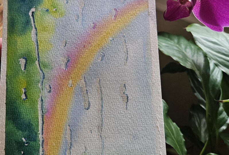 Plump rainbow