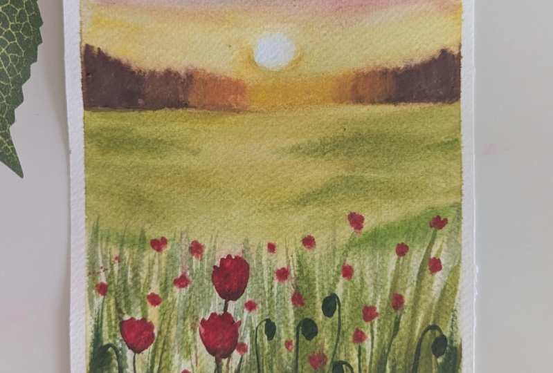 Let's paint a beautiful Spring Poppy Meadow using watercolours