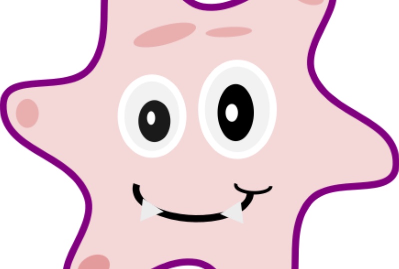 ano