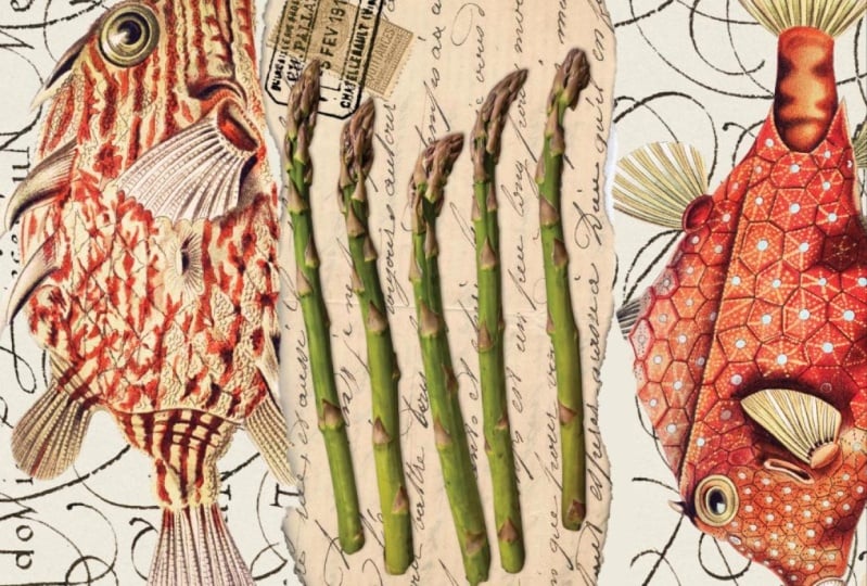 Fish and asparagus