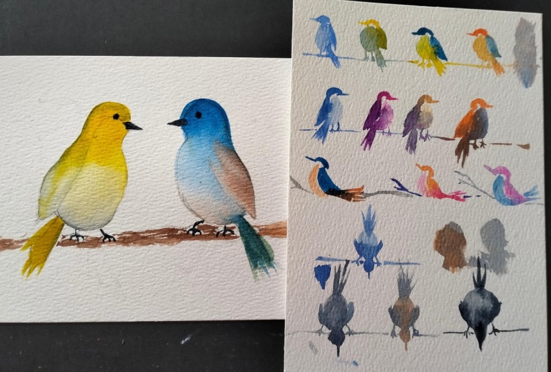 Birds