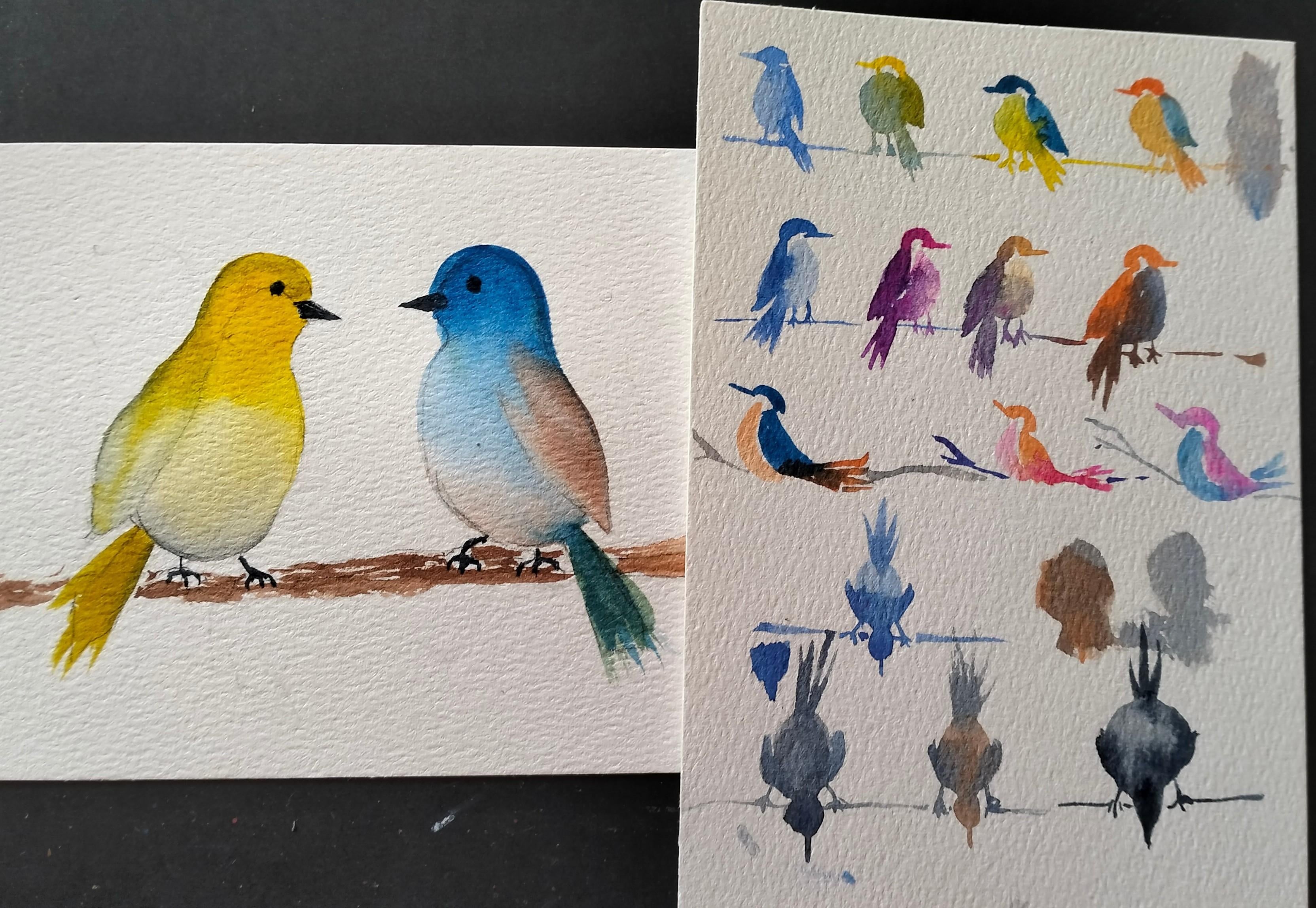 Birds - student project