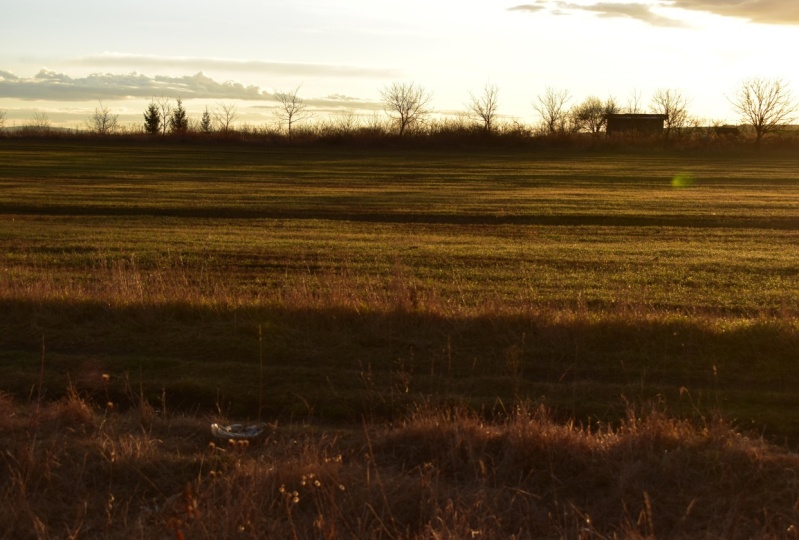 Landscape photography