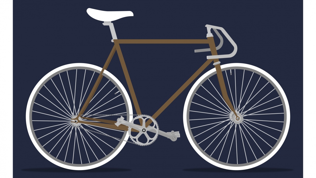 the project fixie