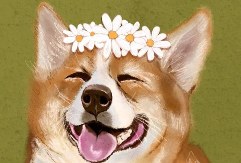 Daisy Dog