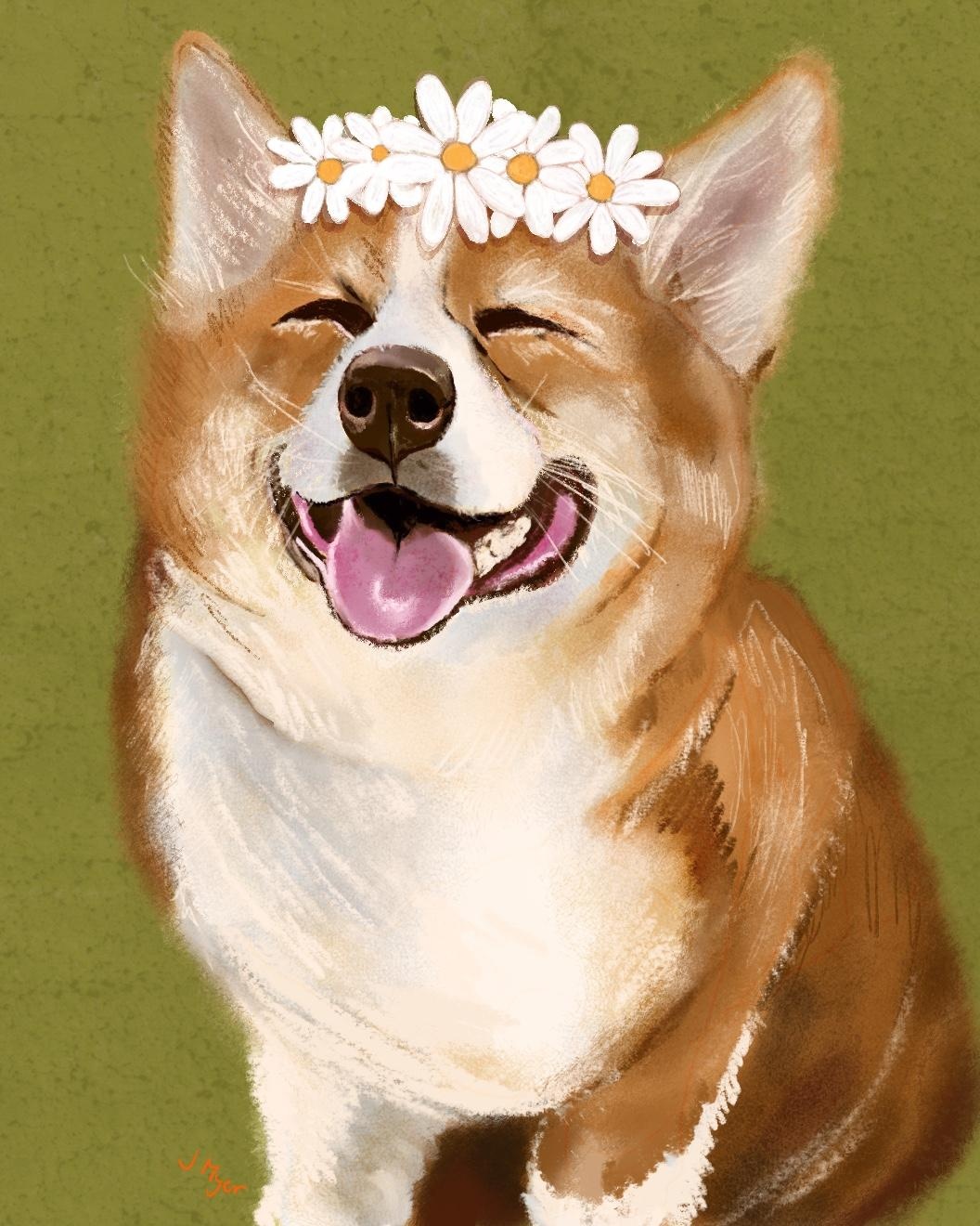 Daisy Dog - student project