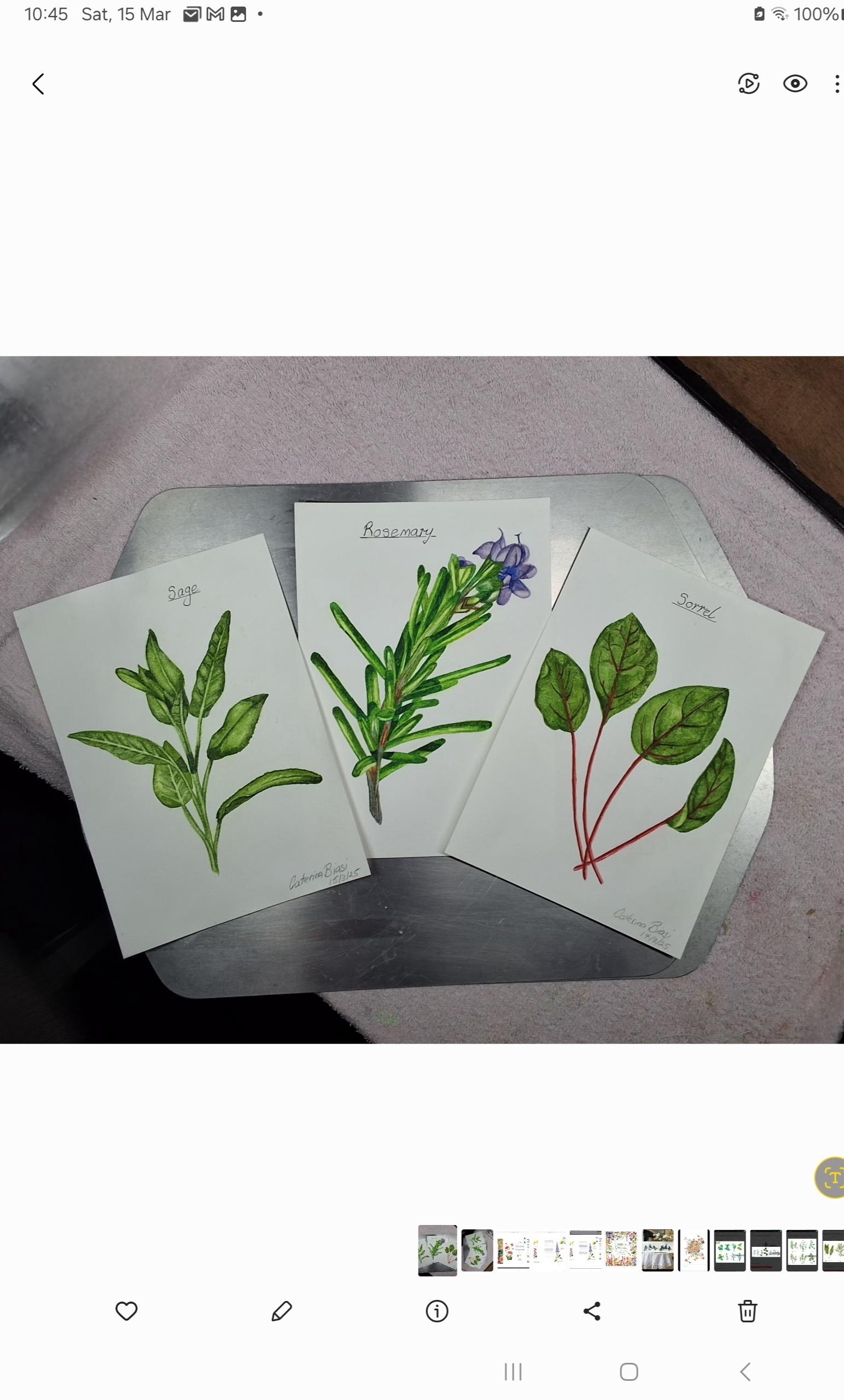more-projects-from-class-img