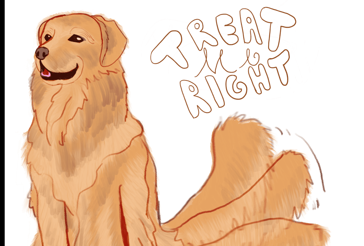 Doggie - student project