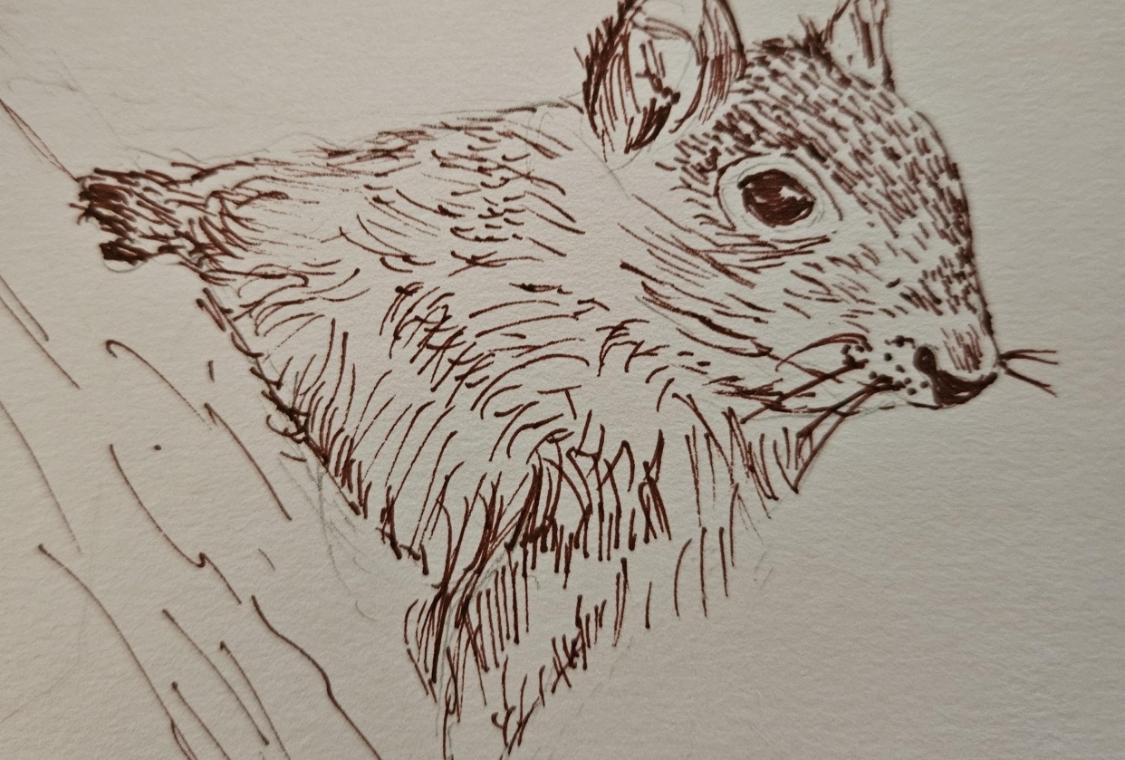 Ink squirrel - student project