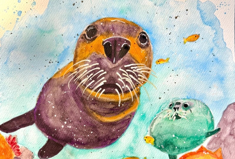 Curious Underwater Seals